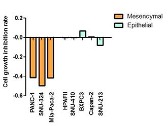 Differential effects of TGF-beta inhibitor, TEW-7197 on pancreatic cancer cell lines according to the mesenchymal phenotypes