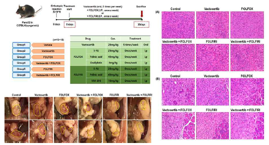 In vivo study of Tew-7187 with or without combination of chemotherapy in mouse pancreatic cancer model