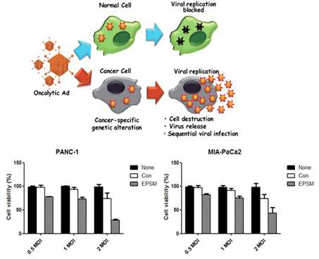 EPSM을 발현하는 종양살상 바이러스가 췌장암 세포주