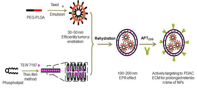 NPs-Taxol@Lipo-TEW-7197 (Vactosertib) 합성 방법