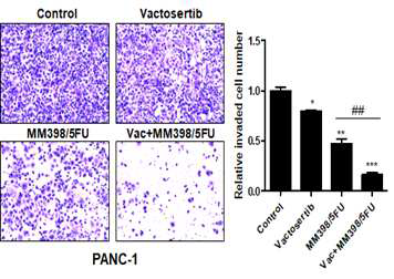 Vactosertib와 MM398/5-FU의 단독 및 병용처리에 따른 췌장암 세포침윤 억제효과