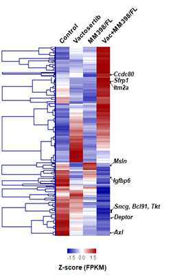 RNA-Seq 분석