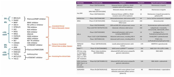 췌장암의 유전자 변이에 따른 타겟 치료제 (좌)와 임상시험 중인 바이오마커 현황 (우)