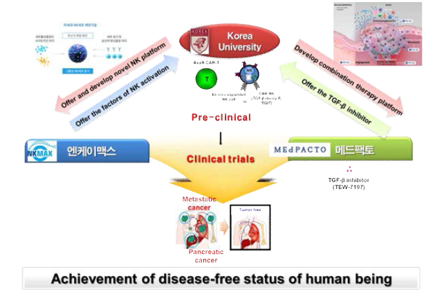 서울아산병원 췌장암 환자대상 NK 세포치료제 사업화 개요