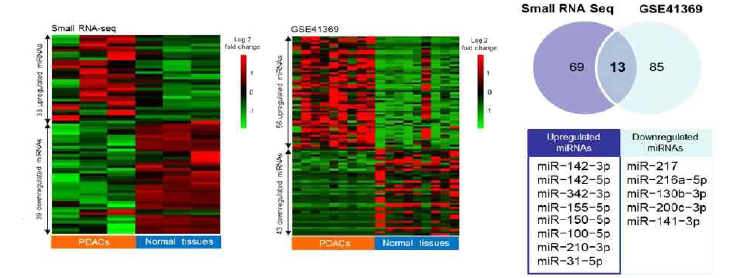 췌장암 특이적 miRNA biomarker 발굴