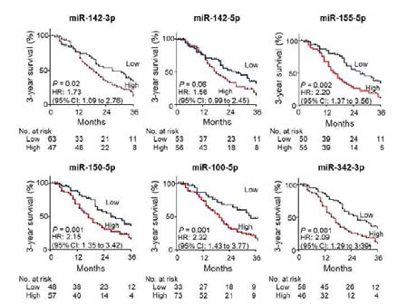 췌장암 miRNA biomarker 에 따라 생존률 분석