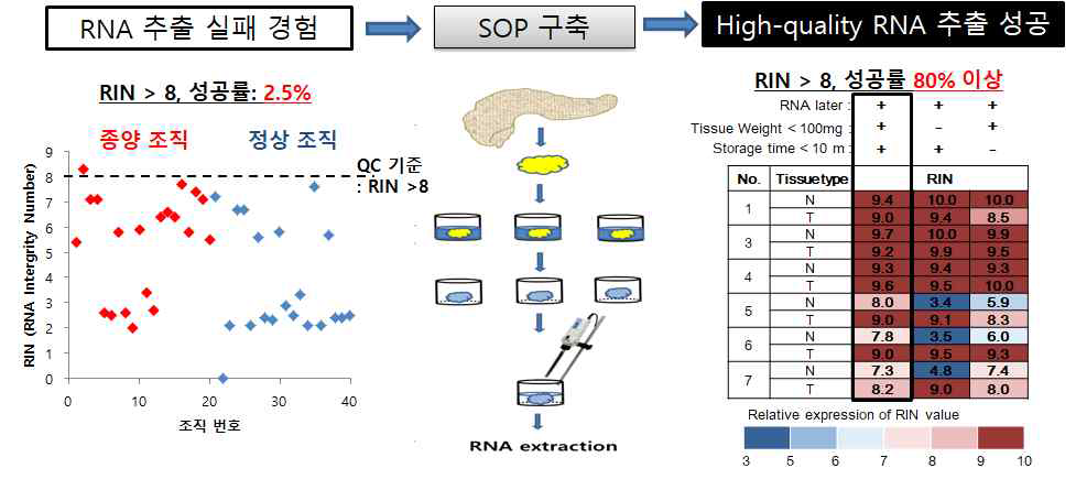 췌장 조직에서 RNA extraction 기법 연구