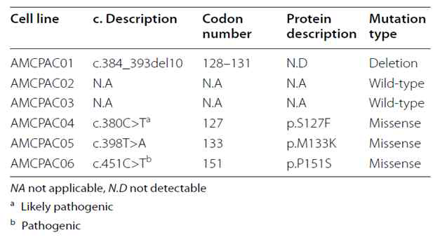 AMCPAC01∼06 세포주의 TP53 mutation analysis