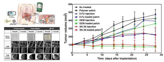 Gemcitabine, Irrinotecan, 5-FU 약물 방출 패치 개발 및 체내 효능평가