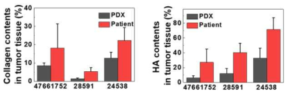 환자 암 유래 PDX 모델의 콜라겐 및 히알루론산 분포 정량 그래프