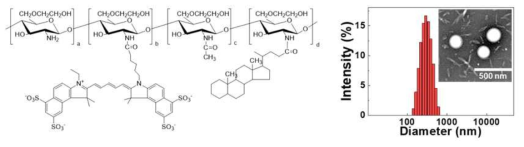 글리콜키토산 나노약물전달체의 구조 (좌), 동적광산란장치를 이용한 크기 분포도 및 전자현미경 이미지 (우)