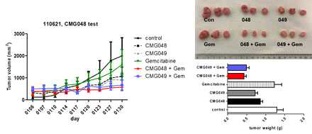 Gemcitabine (25 mg/kg)와 CMG048약물 (1 mg/kg)의 병용투여 효능 확인