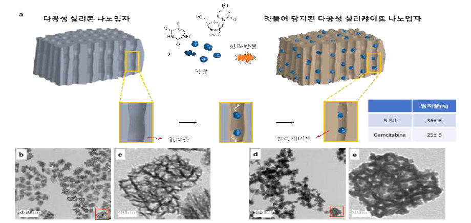 다공성 실리콘 나노입자 및 약물 담지 모식도 및 투과전자현미경 사진