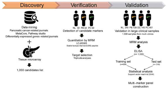 췌장암 진단 복합 바이오 마커 개발 흐름도