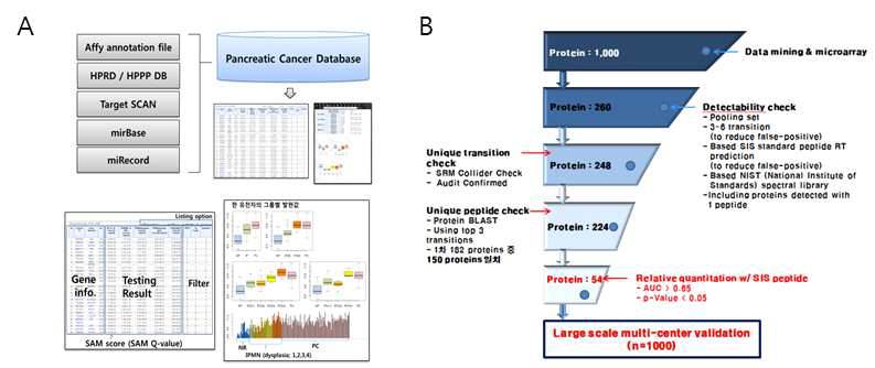 췌장암 microarray 분석결과 검색을 위한 데이터베이스(A)와 단백질 후보 바이오마커 선정과정 (B)