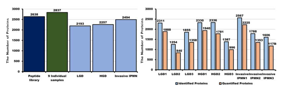 펩타이드 라이브러리 및 개별시료에서 동정 및 정량된 단백질 개수에 대한 바 그래프