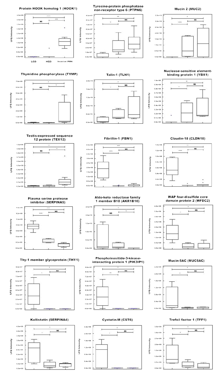 IPMN dysplasia에 따라 증가하거나 감소하는 패턴을 보이는 18개 최종 단백질 마커 후보군에 대한 box plot