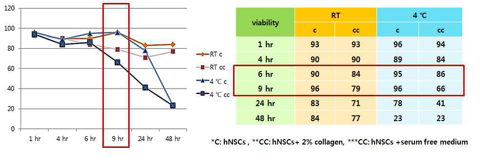 2% collage에 들어있는 hNCs의 생존률 분석
