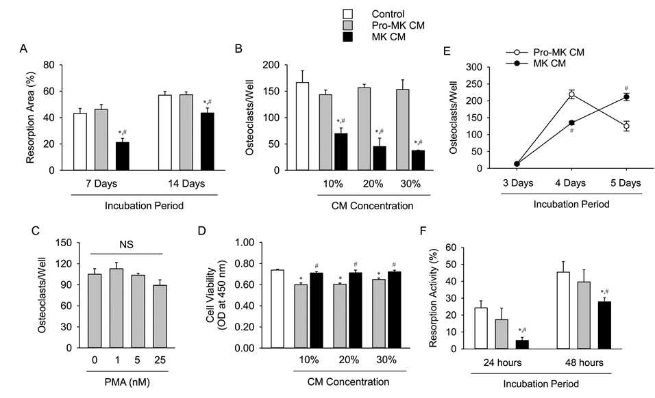 거핵세포 배양액 (MK CM)의 파골세포 생리에 미치는 작용. A, Dentine disc에 서 수행한 bone resorption assay. B, 파골세포 분화에 미치는 파골전구세포 배양액 (pro-MK CM)과 MK CM의 역할 (TRAP staining). C, 다양한 농도의 PMA 처치 후 파골세포 분화의 변화 (TRAP staining). D, 파골전구세포 MTT assay. E, 다양한 기간 으로 세포 배양액 처치 후의 파골세포 분화 (TRAP staining). F. 분화된 파골세포의 세포 당 resorption activity