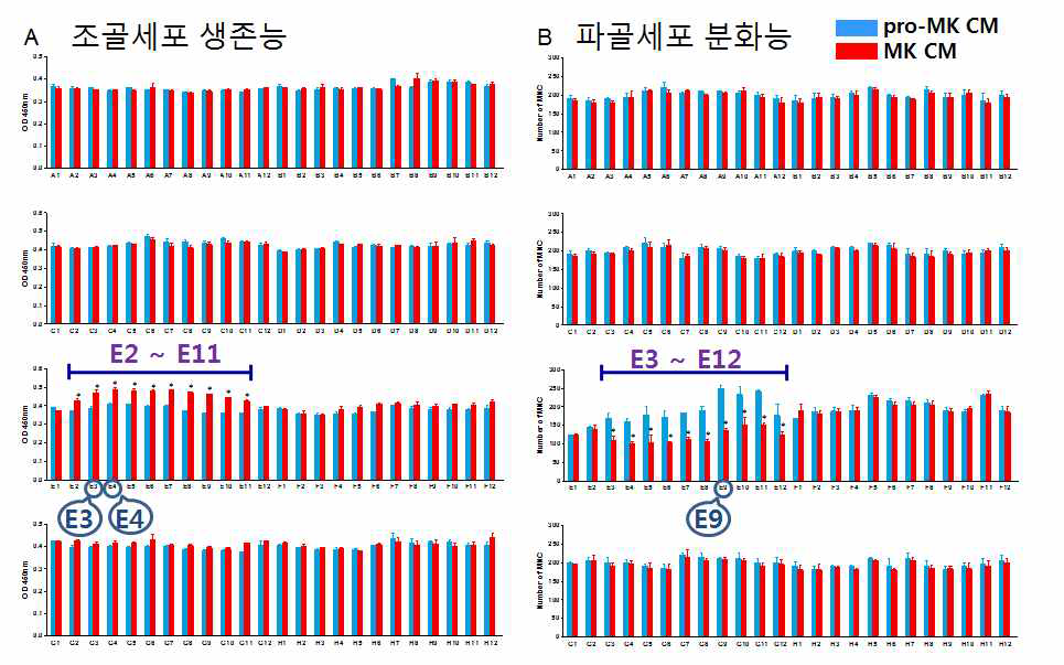 96 분획으로 나눈 거핵전구세포 배양액과 분화된 거핵세포 배양액의 조골세포 생존능 및 파골세포 분화능에 미치는 작용