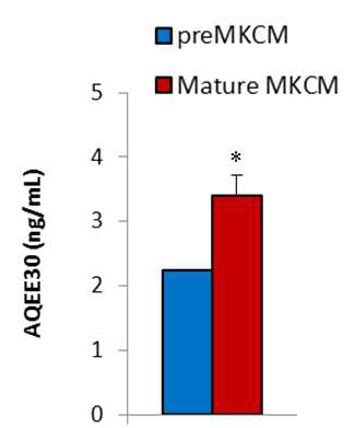 분화된 거핵세포 (mature MK) 와 그 전구세포 (pre MK)의 세포 배양액 (CM)의 VGF AQEE30 ELISA