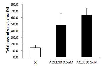 in vitro bone resorption assay on dentine disc