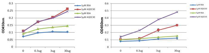 파골전구세포에서 C3AR1과 AQEE30 (좌), gC1qR과 AQEE30의 binding ELISA assay (우)