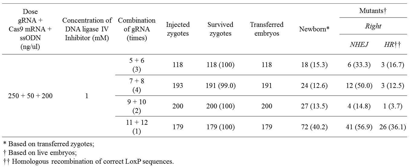 Production of Vgf conditional KO mice using Crispr/Cas9