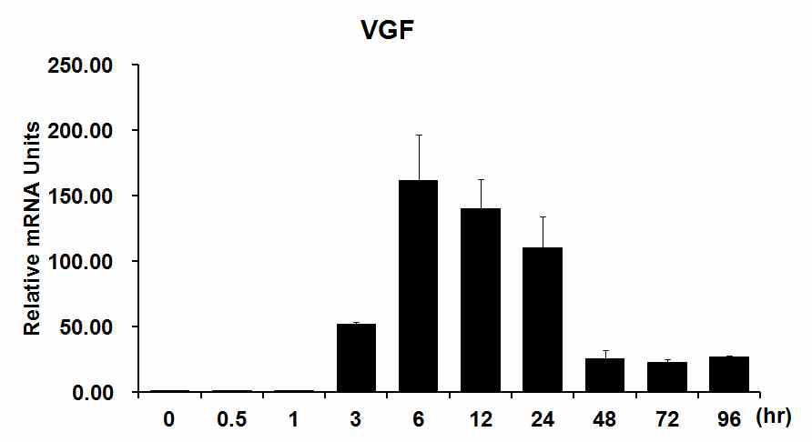 Fluctuation of hVGF transcript levels during megakaryocytic differentiation of K562 cells. Cells were treated with 20 nM PMA for the time indicated, and mRNA levels were determined by qRT-PCR. The results are expressed as fold-changes relative to the hVGF transcript level before adding PMA and are normalized by hRPS29 expression