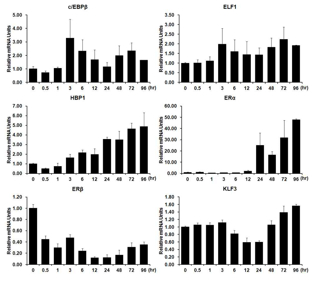 Expression profile of several transcription factors involved in hVGF transcription during megakaryocytic differentiation of K562 cells by 20 nM PMA. mRNA levels of each transcription factors were measured by qRT-PCR