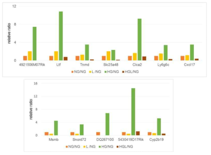 LRG1 처리에 의해 8배 이상 감소한 유전자 (Group1)