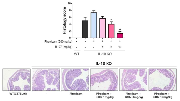 Histological grades examined by hematoxylin and eosin staining of colonic tissue. * p < 0.05 versus piroxicam group. **p < 0.01 versus piroxicam group