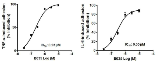 B035의 TNF-α- 및 IL-6로 유도한 단핵구-장상피세포 부착에 대한 억제활성 및 IC50