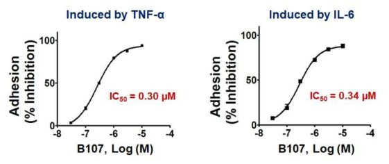B107의 TNFα 및 IL-6로 유도한 단핵구-장상피세포 부착에 대한 억제활성
