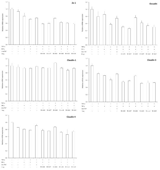 Expression of ZO-1, occludin, claudin-1, claudin-3, claudin-4 mRNA in Caco-2 cells were assessed after adding to candidate substance (group 1) by real time PCR