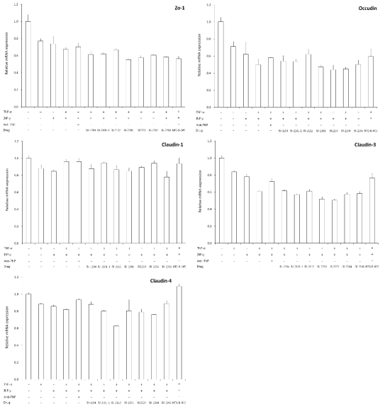 Expression of ZO-1, occludin, claudin-1, claudin-3, claudin-4 mRNA in Caco-2 cells were assessed after adding to candidate substance (group 2) by real time PCR