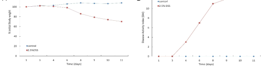 Evaluation of disease activity index (DAI) and body weight in control and 2.5% DSS-induced colitis group. A. Body weight, shown as percentage of weight change, was assessed daily and represented from day 1 to day 11. Compared to the control group, the model group displayed a more weight loss of Body weigh. B. The disease activity index (DAI) was scored using stool consistency, the presence or absence of fecal blood, and weigh loss