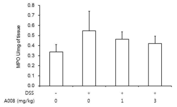 All mice were sacrificed on day 36 post administration of DSS and colonic tissue samples were collected to assess MPO activity. Severity of DSS induced colitis is associated with higher levels of MPO activity compared to controls (n=3-5 mice/group)