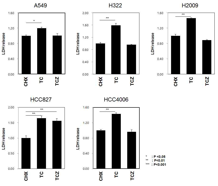 5종의 폐암세포주에서 TC, TCZ 조건에 따른 LDH cytotoxicity (ratio) 측정