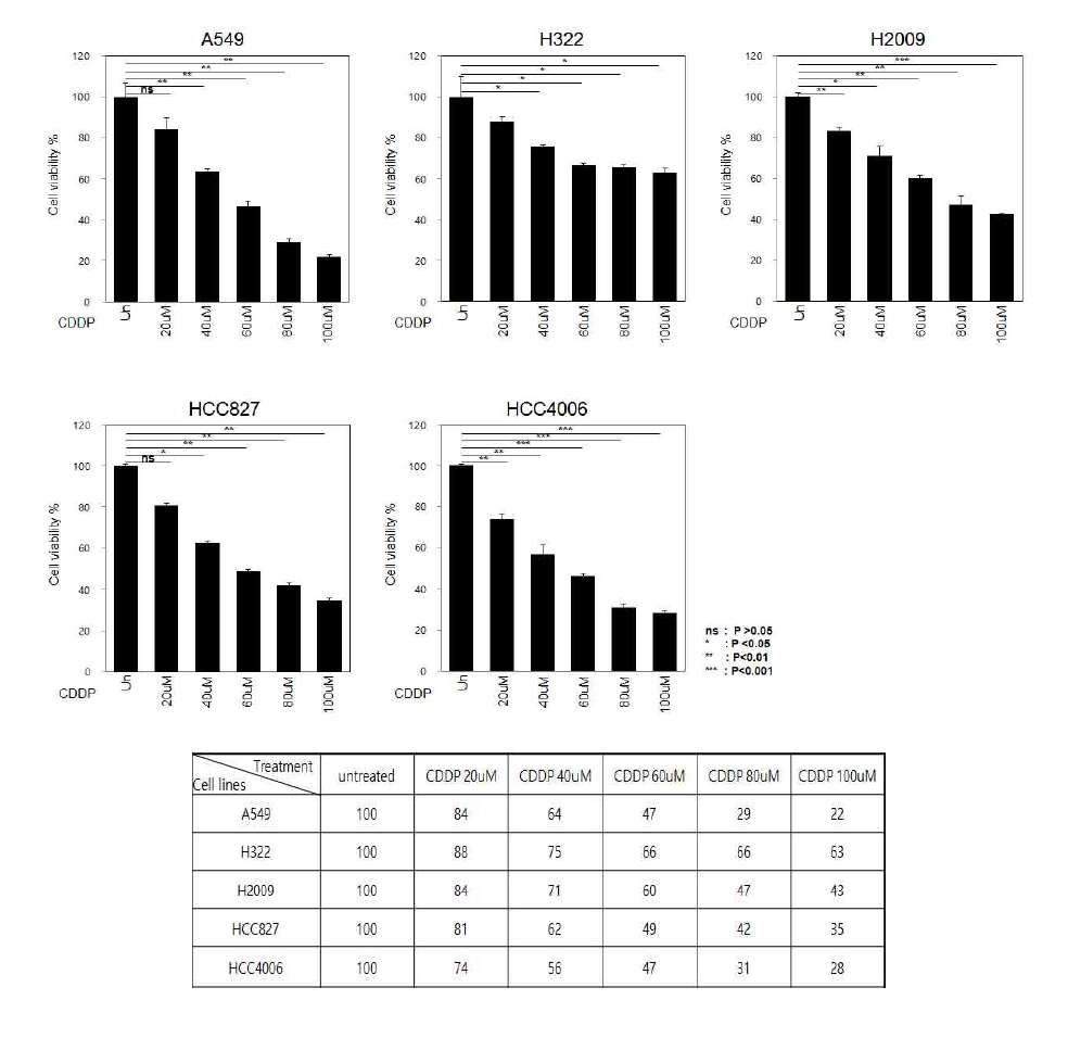 5종의 폐암세포주에서 cisplatin 농도에 따른 cell viability (%) 측정