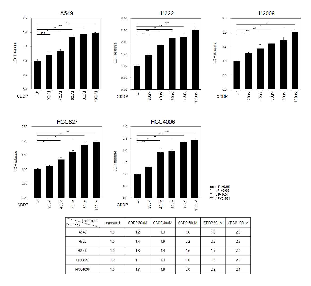 5종의 폐암세포주에서 cisplatin 농도에 따른 LDH cytotoxicity (fold induction) 측정