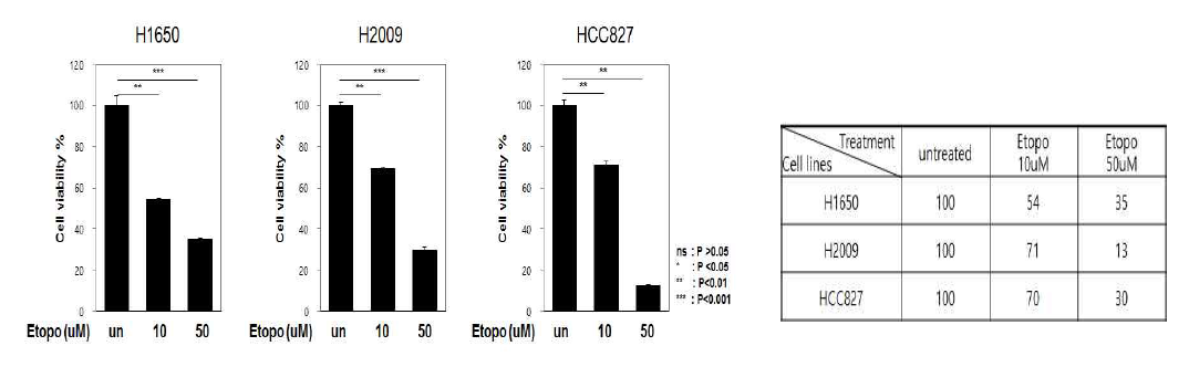 3종의 폐암세포주에서 etoposide 농도에 따른 cell viability (%) 측정