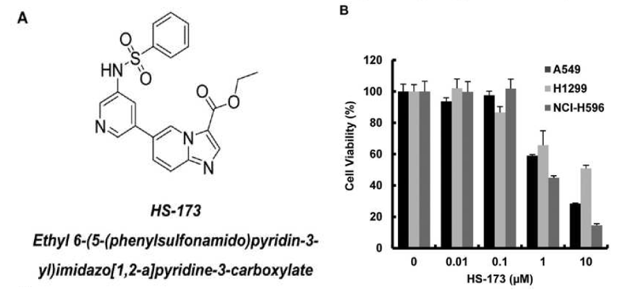 HS-173의 화학 구조와 폐암 세포주의 성장에 미치는 영향