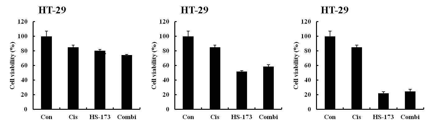 RIP3 과발현 세포주에서 Cisplatin과 HS-173의 병용처리 효과