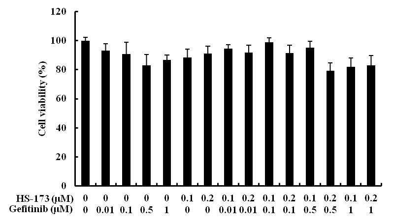 HS-173과 Gefitinib의 병용 처리 효과 확인