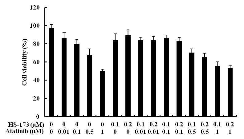 HS-173과 Afatinib의 병용 처리 효과 확인