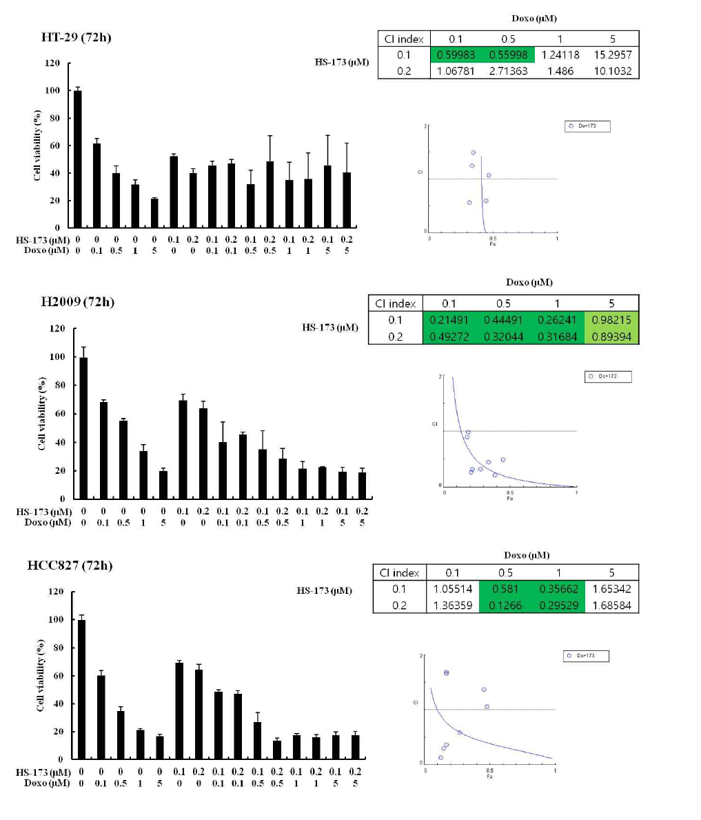 HS-173과 Doxorubicin의 병용 처리 효과 확인