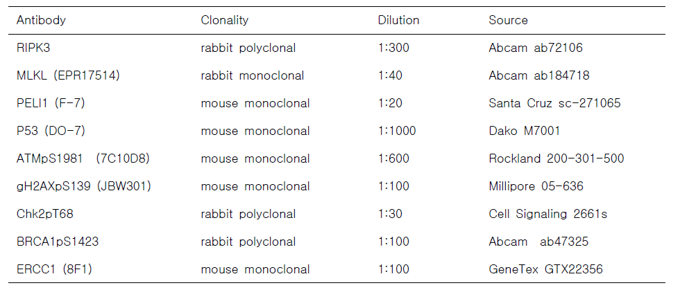 네크롭토시스 및 DNA 손상복구 관련 단백항체 정보
