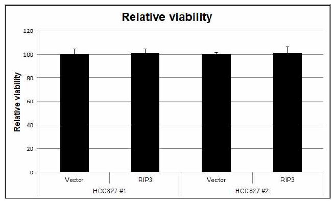 HCC827 vector와 RIP3 발현 stable cell line 간의 성장 비교