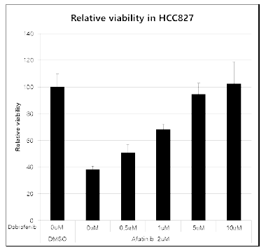 HCC827 세포에서 afatinib의 민감도 저하에 dabrafenib의 농도가 미치는 영향 확인